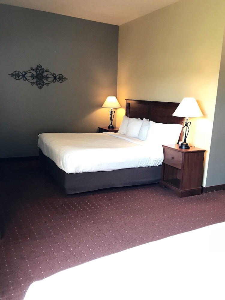 Studio Suite, Multiple Beds, Non Smoking - Photo 4