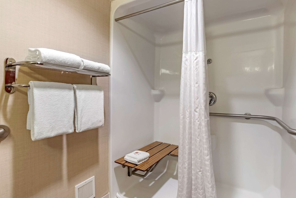 Suite, 1 King Bed with Sofa bed, Accessible, Non Smoking (Roll-In Shower) - Photo 1