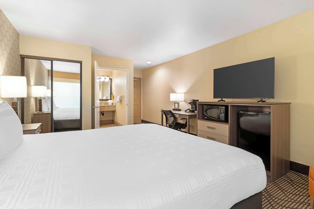 Standard Room, 1 King Bed, Accessible, Refrigerator & Microwave - Photo 4