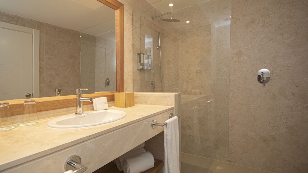 Premium Room (Tropical View) photo 3