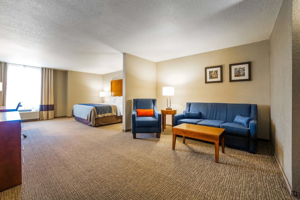 Suite, 1 King Bed with Sofa bed, Non Smoking (Pet Friendly)