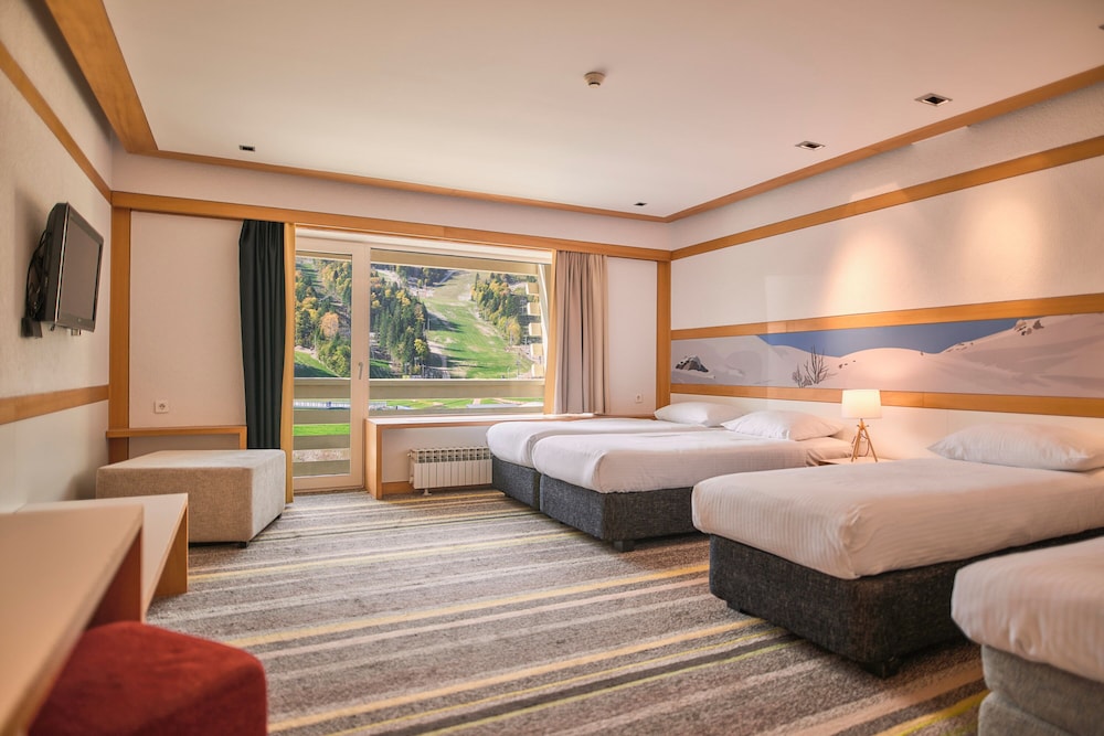 Triple Room with Mountain View and Balcony (AC) photo 1