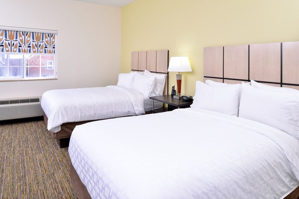 Studio Suite - Photo 3