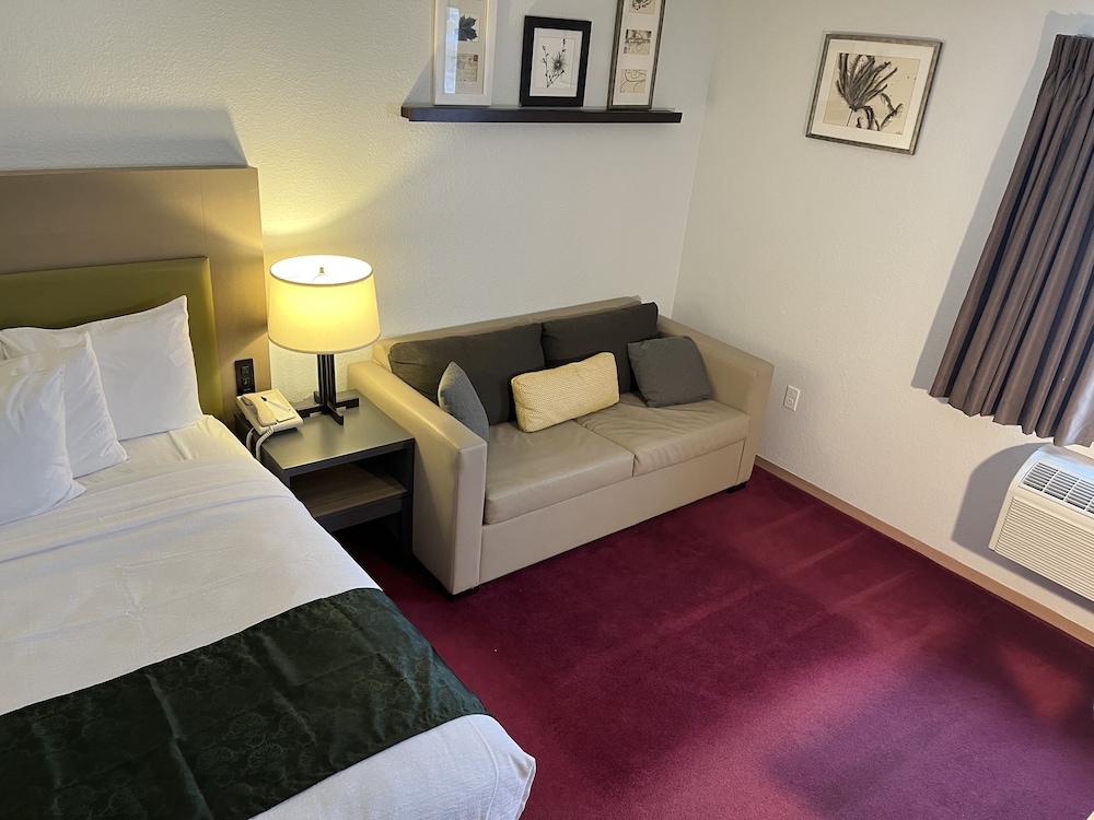 Deluxe Room, 1 King Bed With Sofa Bed (King Room With Pullout Couch.)