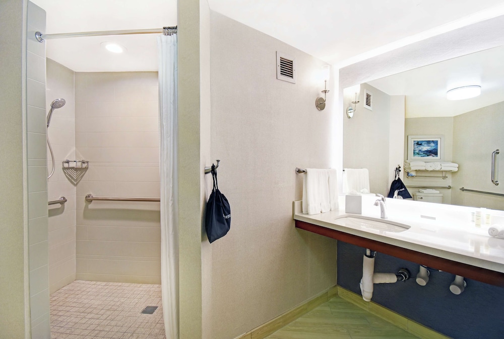 Executive Suite, 1 King Bed with Sofa bed, Accessible (1 Bedroom, Roll-In Shower) - Photo 3