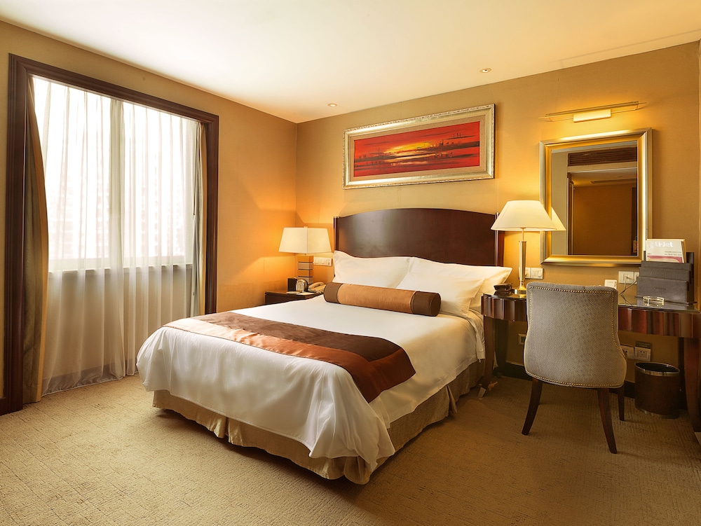 Comfort Single Room photo 1