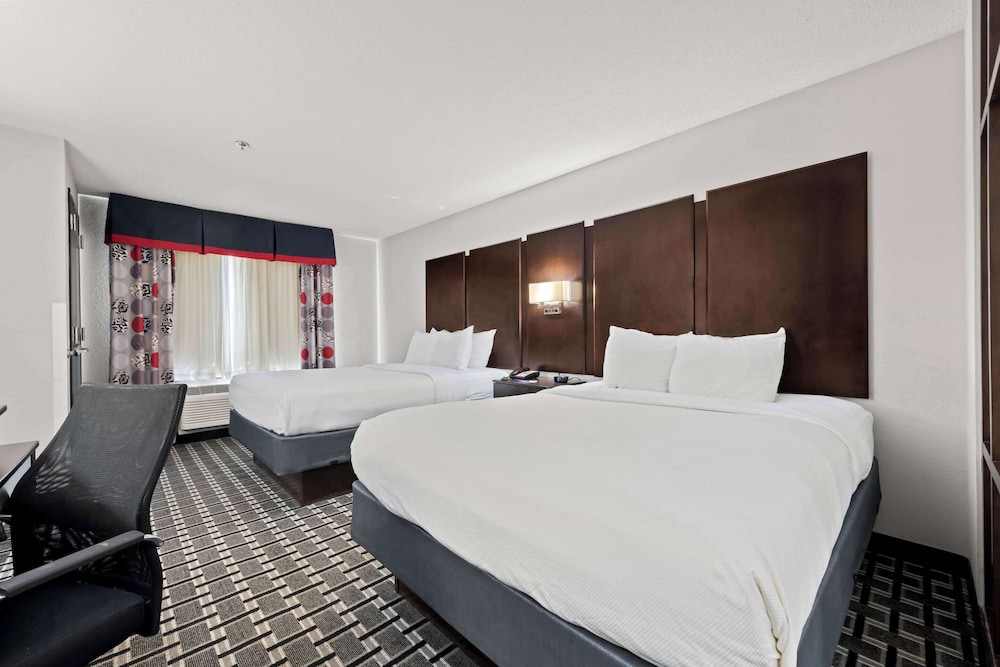 Studio Suite, Multiple Beds, Non Smoking photo 3