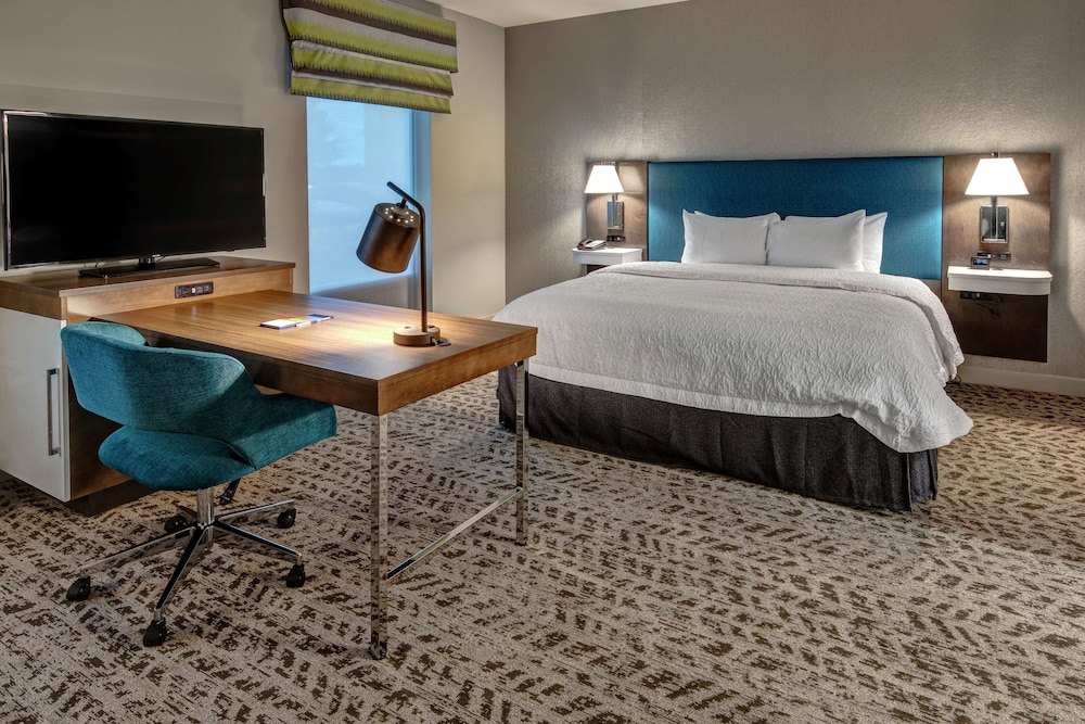 Suite, 1 King Bed, Accessible (Mobility & Hearing, Roll-in Shower) photo 1