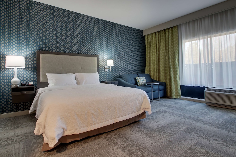 Room, 1 King Bed with Sofa bed, Accessible, Bathtub (Mobility & Hearing) photo 3