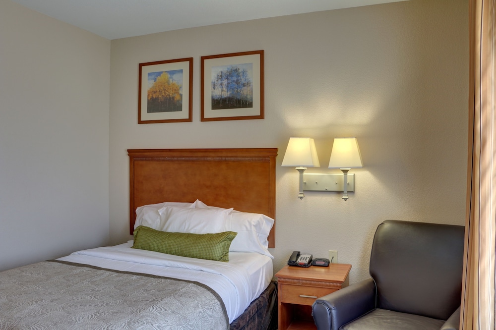Suite, 1 Bedroom - Photo 2