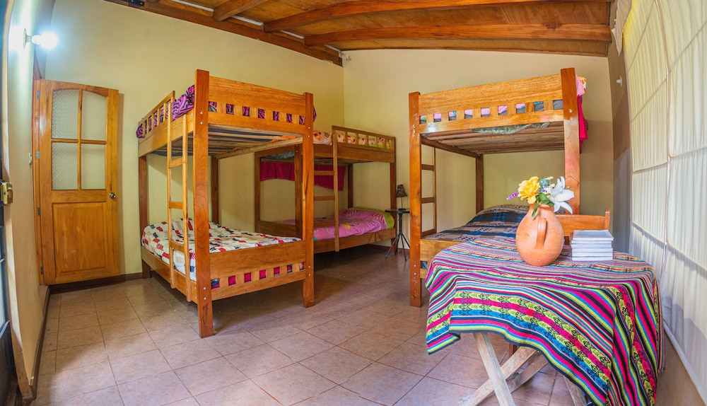 Standard Shared Dormitory photo 1