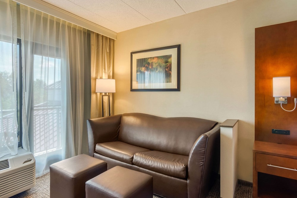 Studio Suite, Multiple Beds - Photo 3