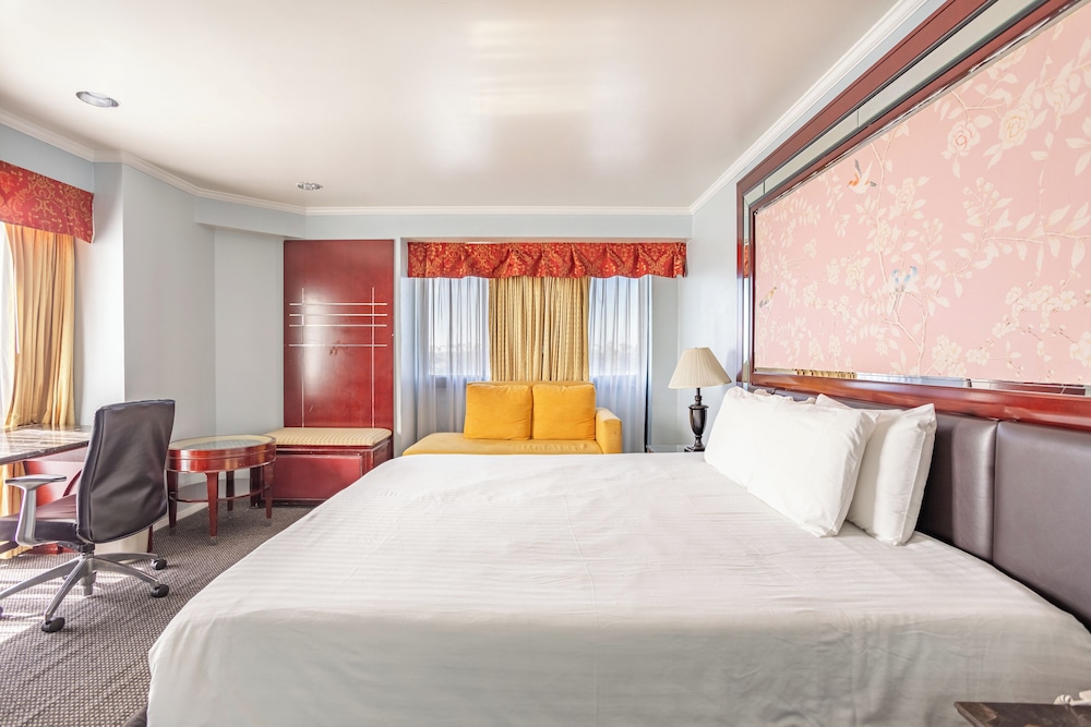 Single Room, 1 King Bed