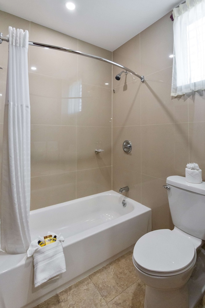 Premium Room, 2 Queen Beds, Non Smoking, Refrigerator & Microwave - Photo 16