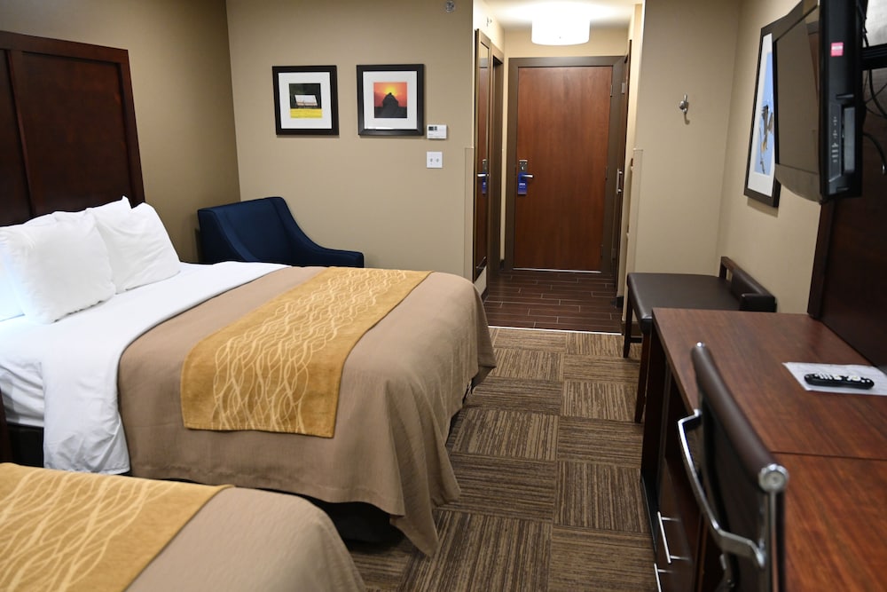 Comfort Single Room 2 Queen Beds with Lounge Chair