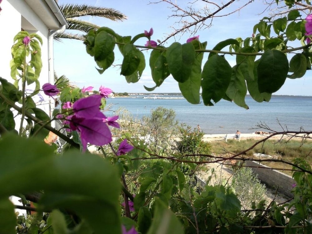 Apartment (Teo - 8m from the sea & parking - A1 )