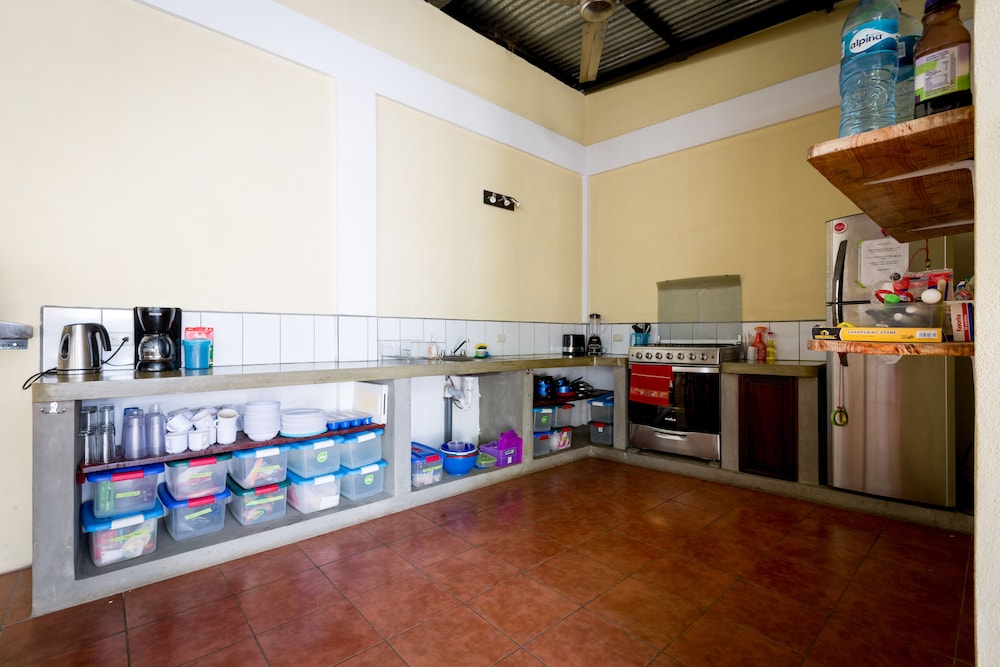 Standard Shared Dormitory photo 3