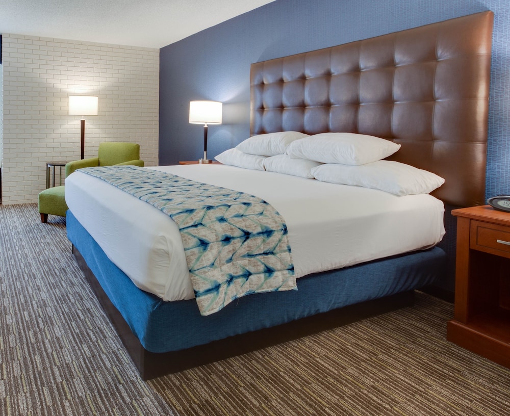 Deluxe Room, 1 King Bed, Refrigerator & Microwave (Upper Floor) photo 1