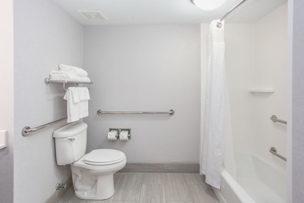 Standard Room, 1 King Bed, Accessible (Comm & Mobil, Accessible Tub) - Photo 10