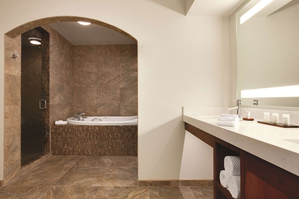 Deluxe Suite, 1 King Bed, Accessible (Roll-In Shower) - Photo 5