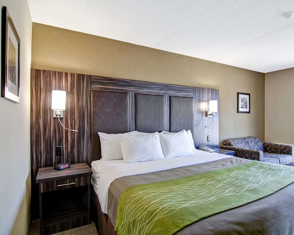 Standard Room, 1 King Bed, Non Smoking (No Pets Allowed) - Photo 7