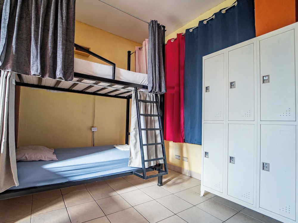 Comfort Shared Dormitory photo 3