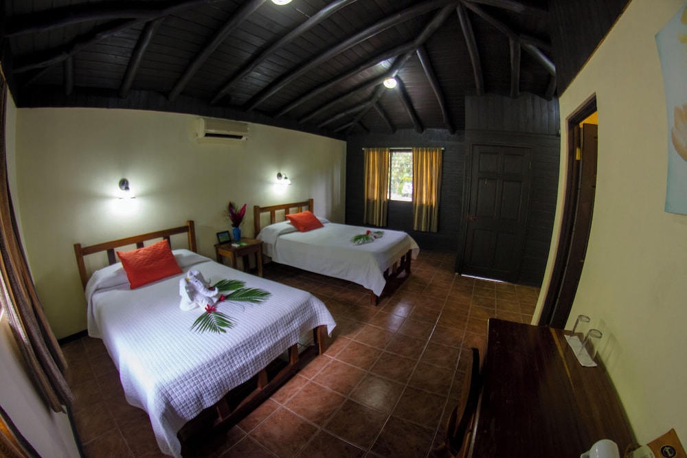 Superior Double Room, 2 Double Beds photo 3