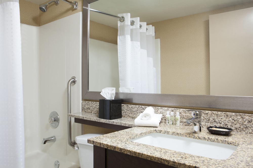 Standard Room, 1 King Bed, Accessible (Communication, Accessible Tub) - Photo 3