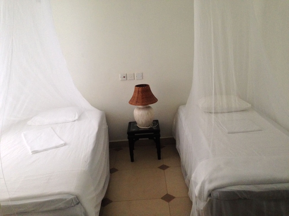 Golden Palm photo 2