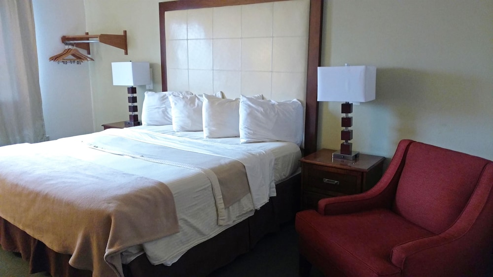 Room, 1 King Bed, Non Smoking - Photo 1