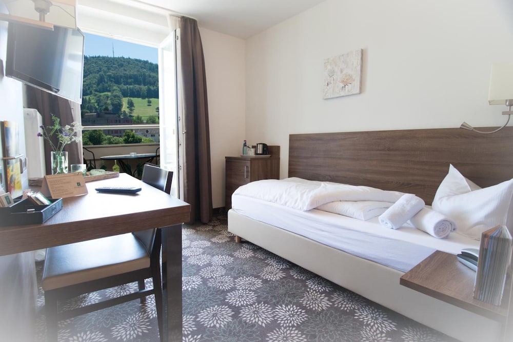 Single Room (Hochrhein)