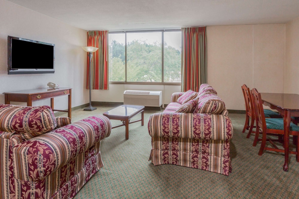 Suite, 1 King Bed photo 2