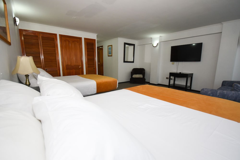 Twin Room photo 1