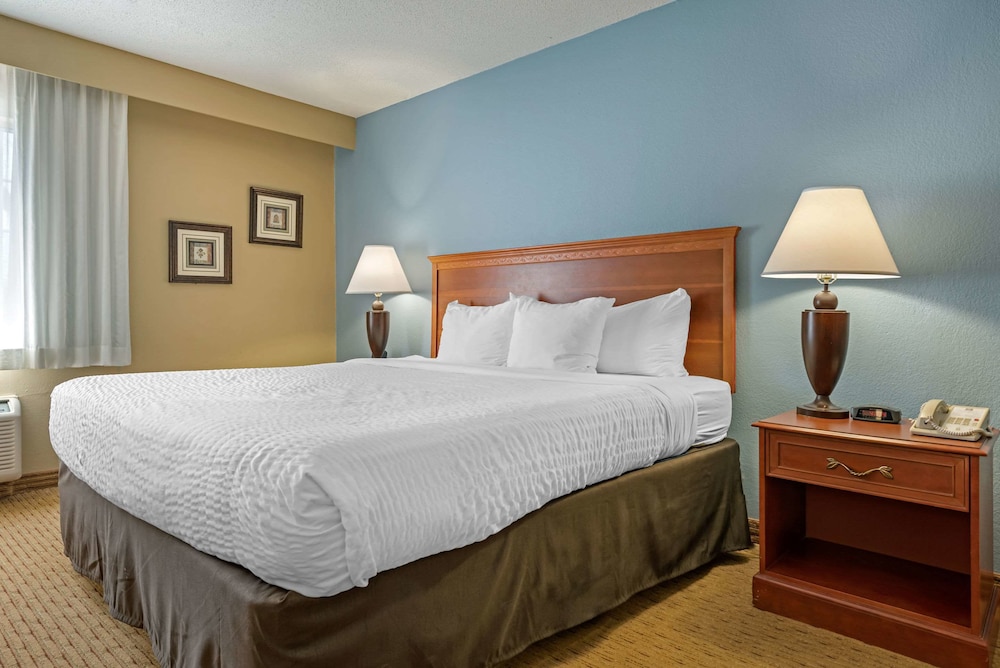 Standard Room, 1 King Bed with Sofa bed, Non Smoking - Photo 8