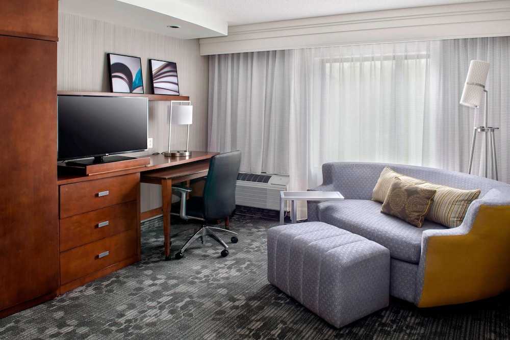 Suite, 1 King Bed with Sofa bed photo 1