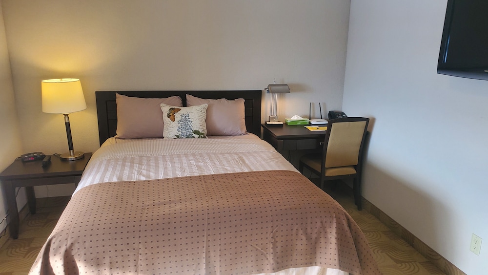 Junior Suite, 1 Queen Bed, 1 Queen Sofa Bed