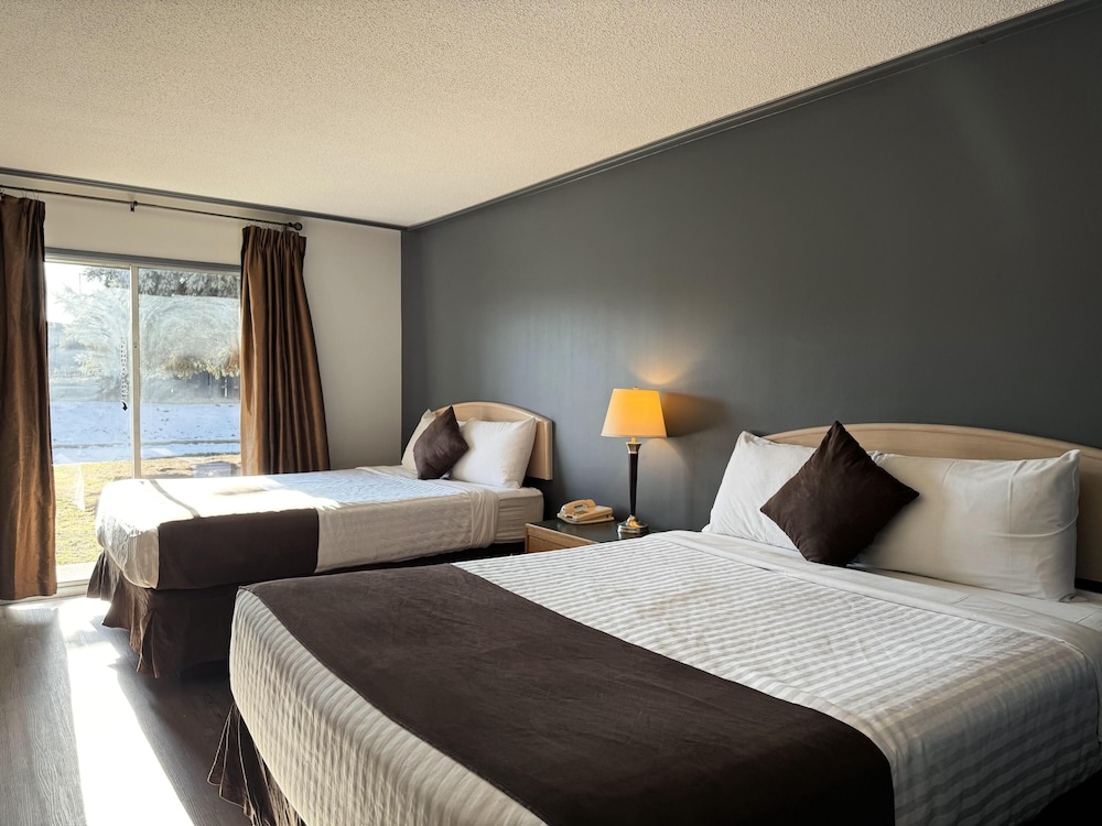 Pet-Friendly: 1 Queen Bed - Photo 2