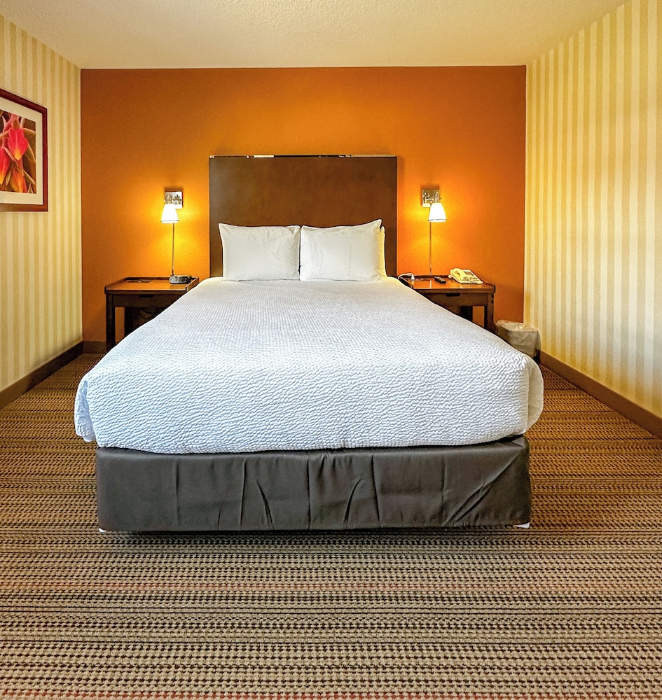Superior Suite, 2 Queen Beds