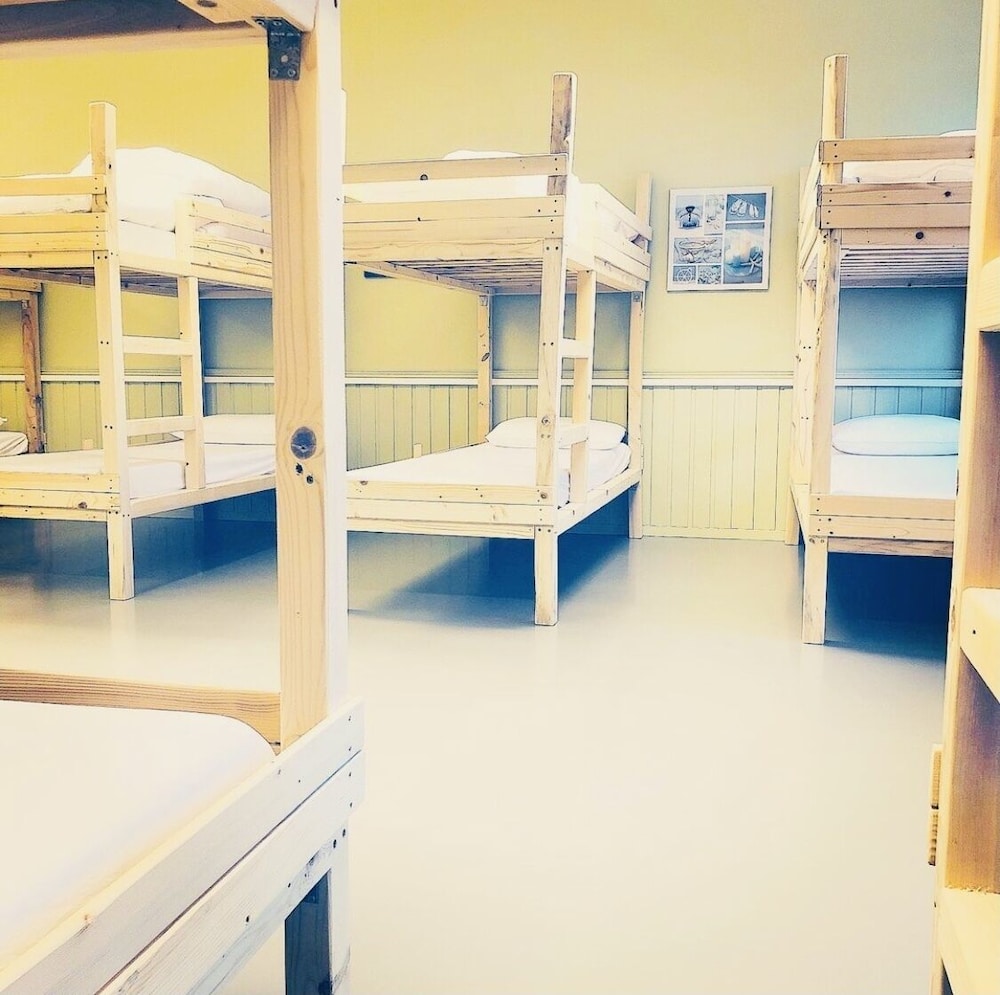 Shared Dormitory photo 1