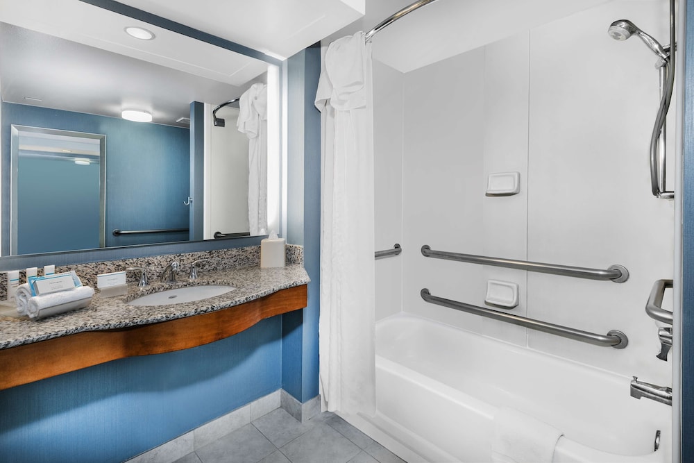 Suite, 1 King Bed, Accessible, Bathtub photo 3