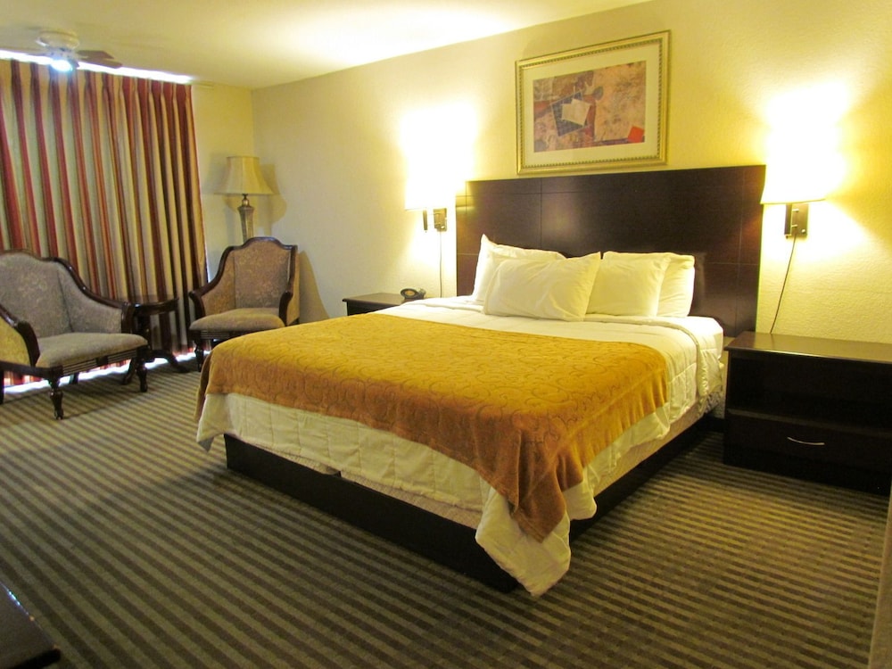 Single Room, 1 King Bed