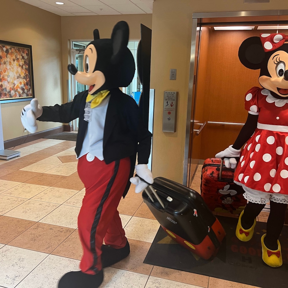 Free Shuttle 2 Queen Disney Area, Photo 18