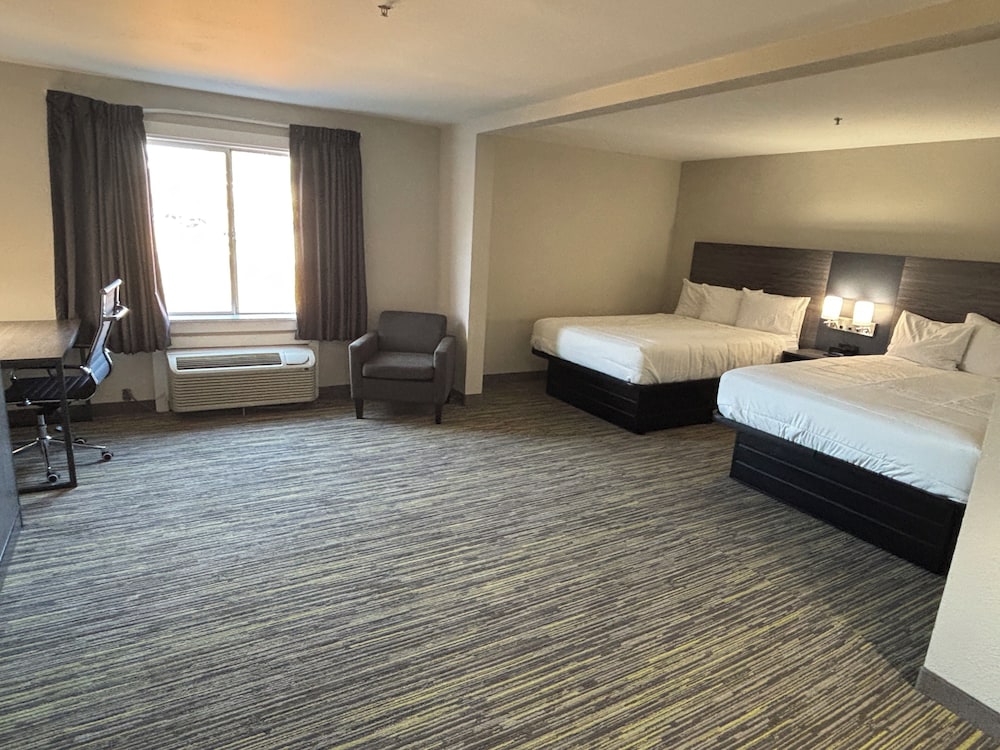 Suite, 1 King Bed