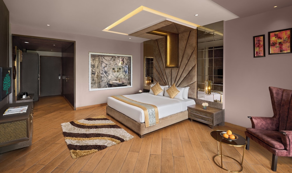 Junior Studio Suite