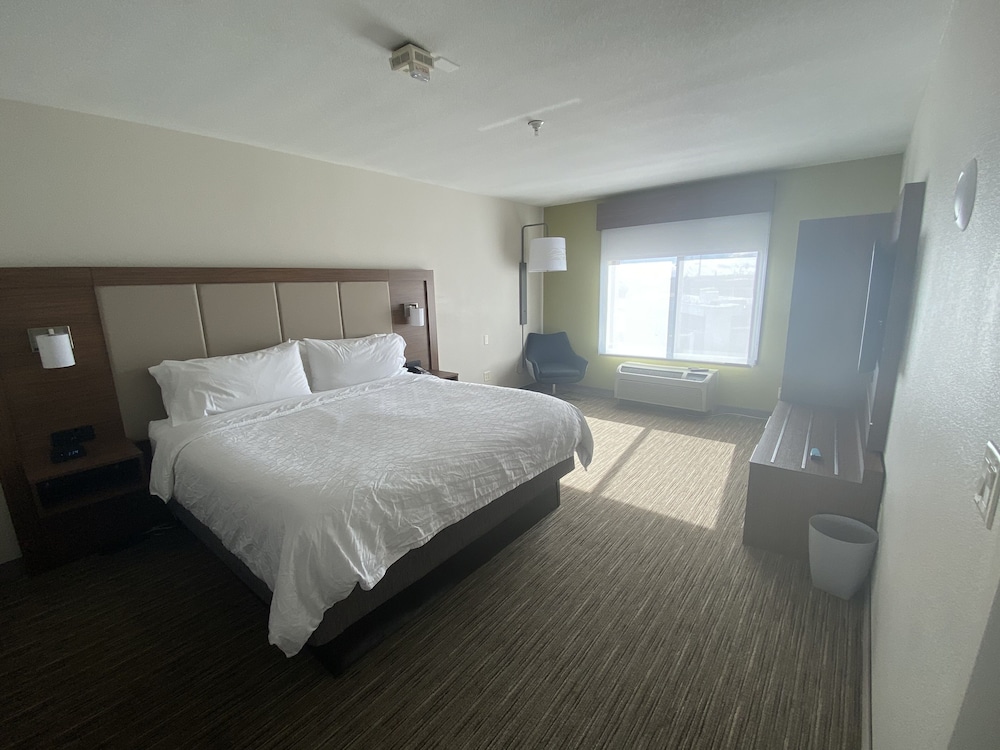 Suite, 1 King Bed with Sofa bed - Photo 3