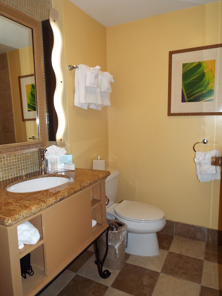 Room, 1 King Bed, Accessible, Balcony photo 1