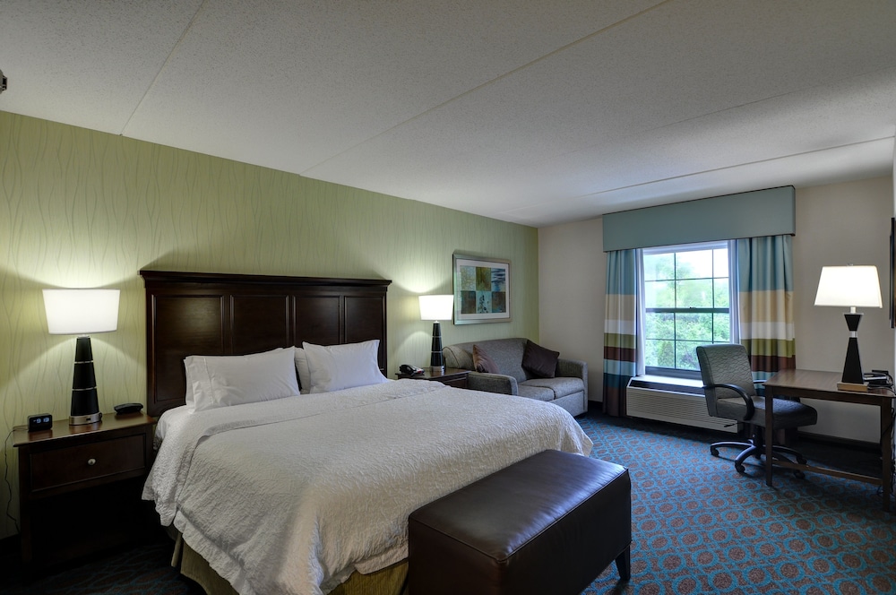 Room, 1 King Bed, Non Smoking (Large) - Photo 7