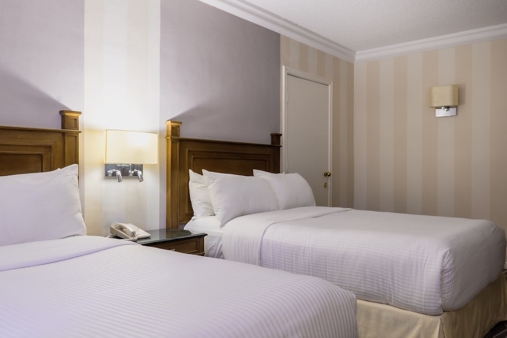 Superior Room, 2 Double Beds photo 2