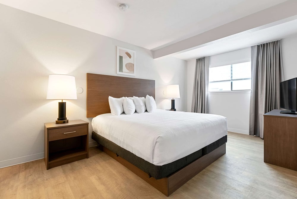 Suite, 1 Bedroom - Photo 4