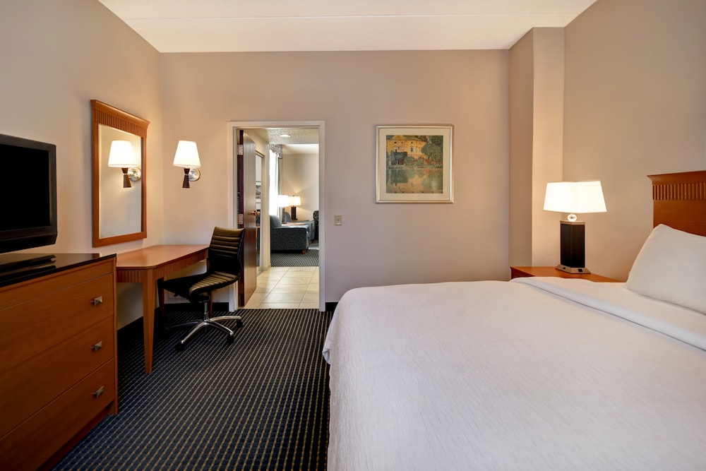 Room, 1 King Bed With Sofa Bed, Non Smoking photo 2